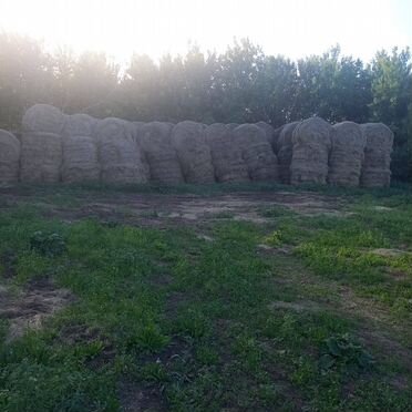 Сено в тюках