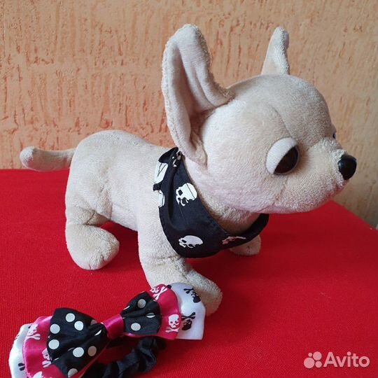 Chi chi love щенок в сумочке