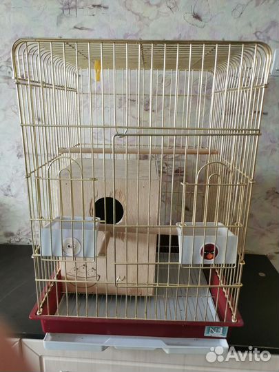 Клетка для попугая корелла