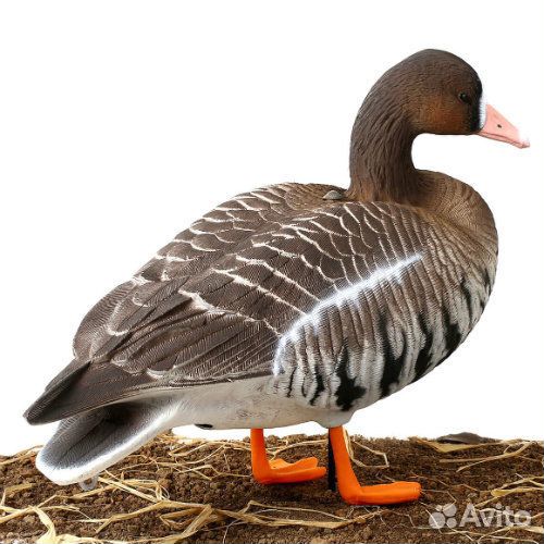 Чучела гусей белолобика объемные oscar decoys