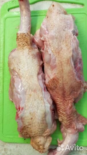 Домашняя курочка