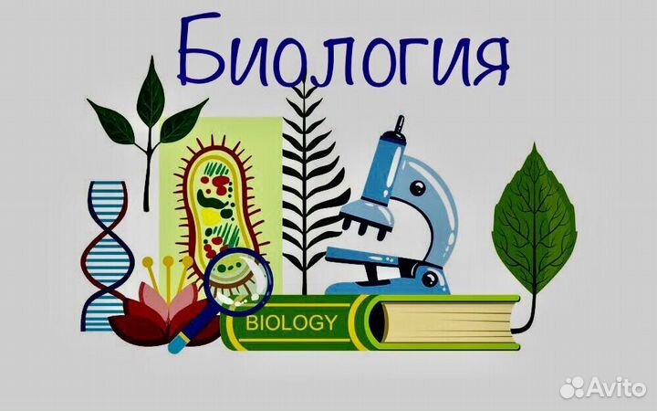 Репетитор по биологии
