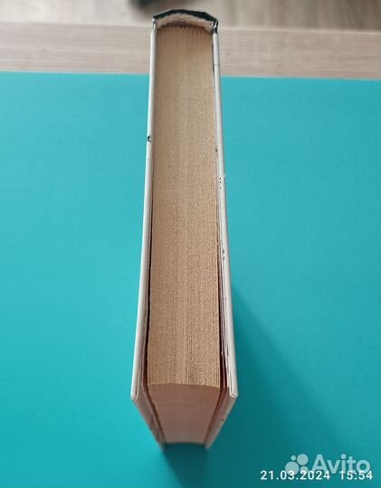 Константинов Андрей. Мент