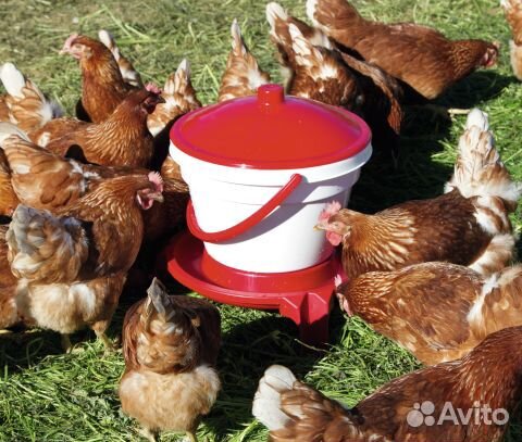 Поилка поплавковая на ножках Объем 12 л