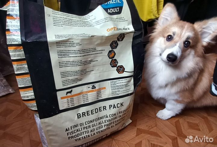 Корм для собак