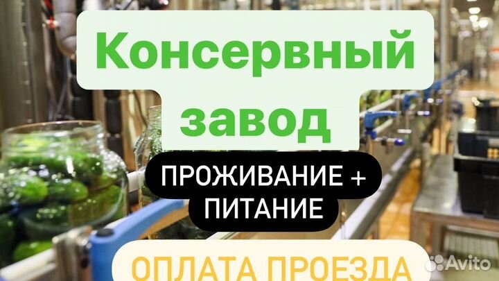 Сортировщик овощей Вахтовый метод работы