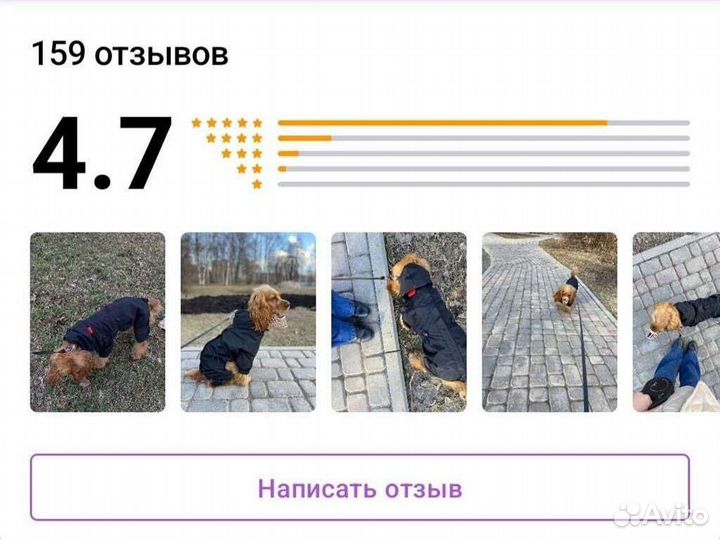 Дождевик для средней собаки