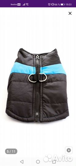 Одежда для собак