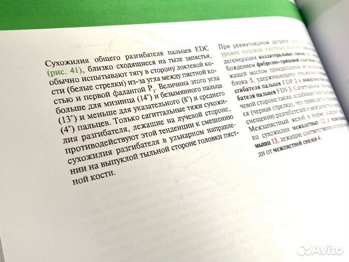 Физиология суставов/Функциональная анатомия