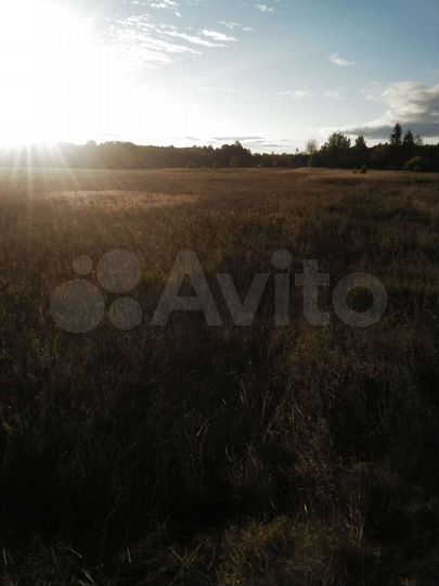 Участок 3,22 га (СНТ, ДНП)