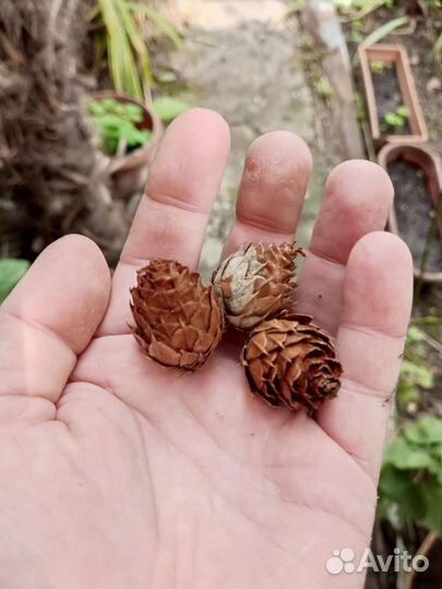 Новогодний декор