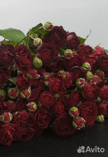 Букет из красных кустовых роз
