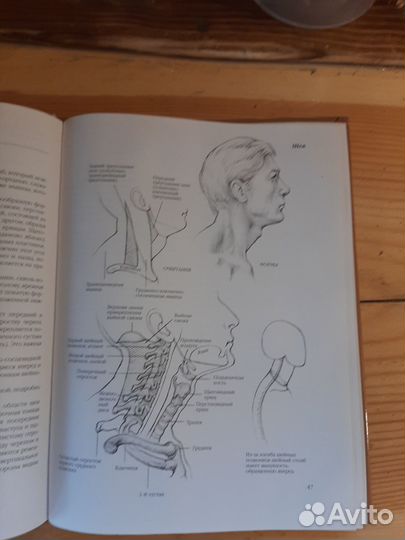 Техника рисования фигуры человека