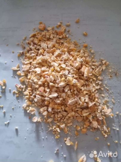 Пшеница,корма,зерно