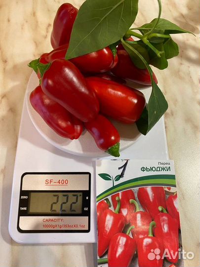 Рассада перца