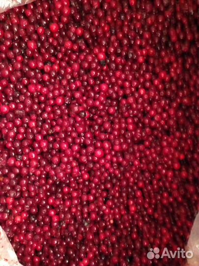 Брусника, клюква, смородина, черника, вишня, ягода