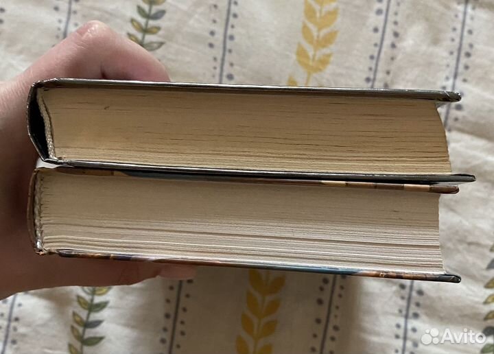 Книги. Таня Гроттер. Мефодий Буслаев