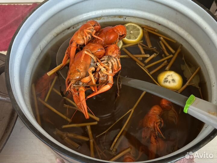 Раки варенные