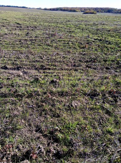 Участок 13,95 га (СНТ, ДНП)