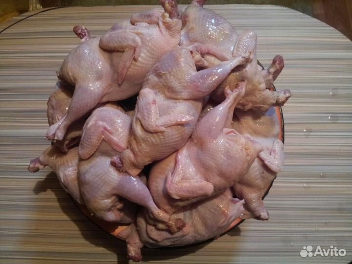 Мясо перепелов