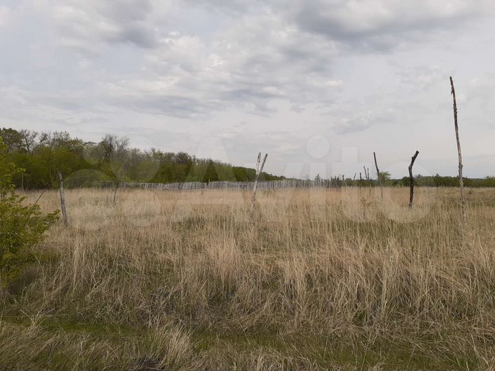 Участок 20 сот. (СНТ, ДНП)