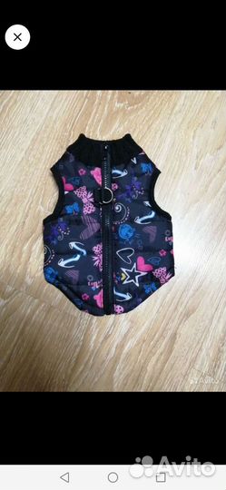 Ботиночки, жилетка, ошейник, шлейка, трусы