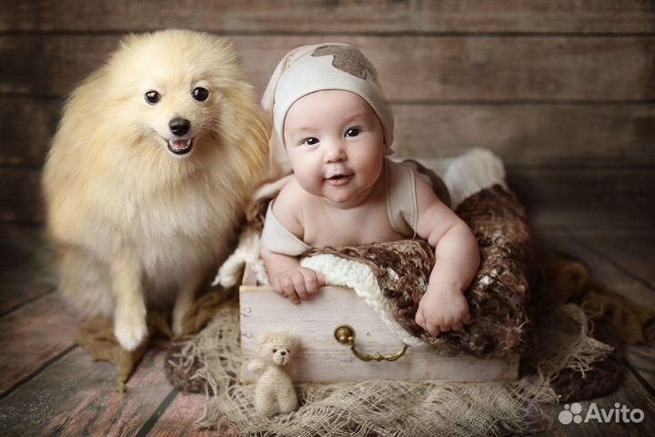 Детский фотограф (Малыши до года)
