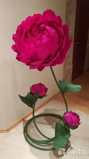 Ростовые цветы, продажа