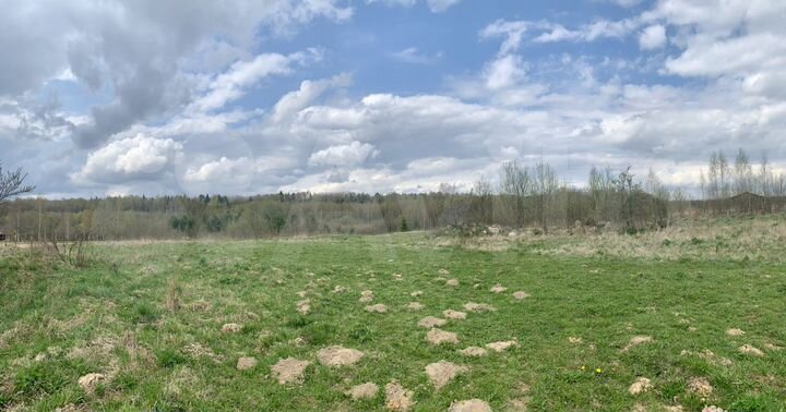 Участок 1,1 га (ИЖС)