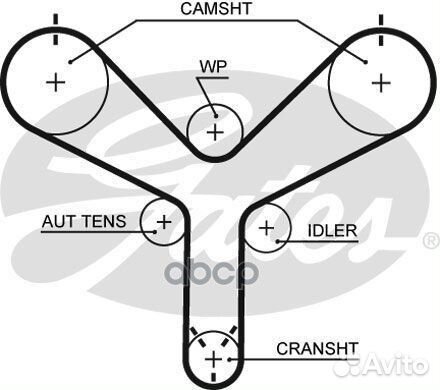 Ремень грм toyota GS/LS/SC/land cruiser 4.0/4.3