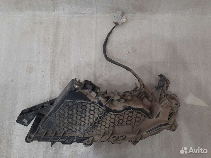 Lexus RX 350 19- фара противотуманная правая