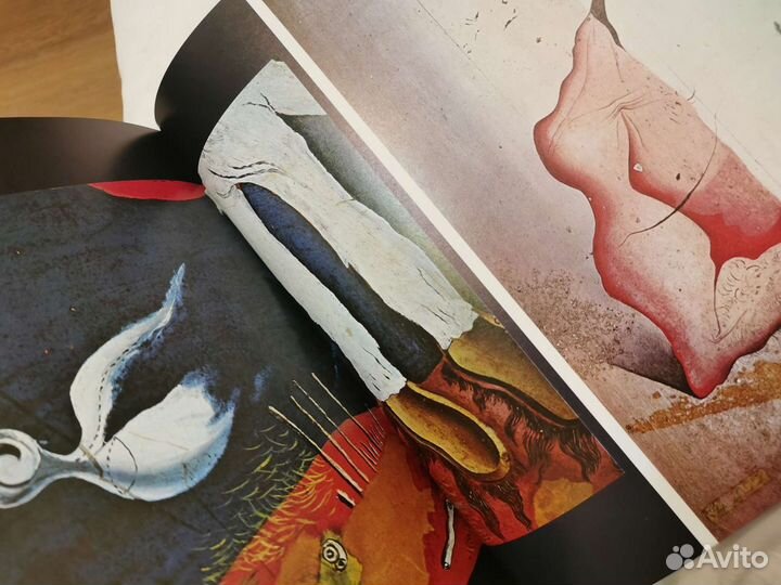 Книга Сельвадор Дали