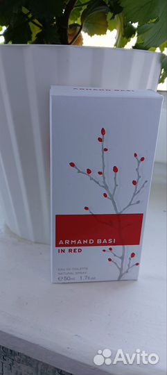 Armand basi in red 50
