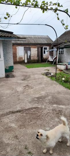 Дом 54,5 м² на участке 20 сот.