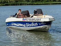 Gladius 520 с мотором Suzuki df115 4тактный