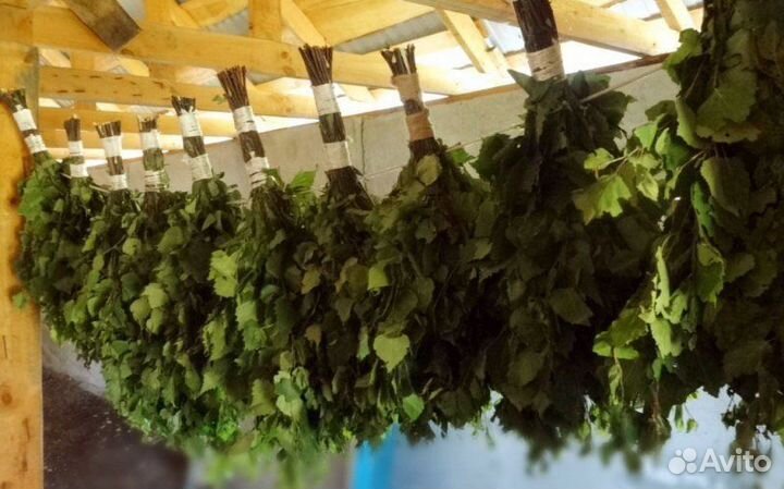 Банные веники