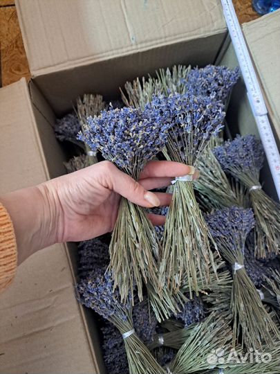 Букеты лаванды
