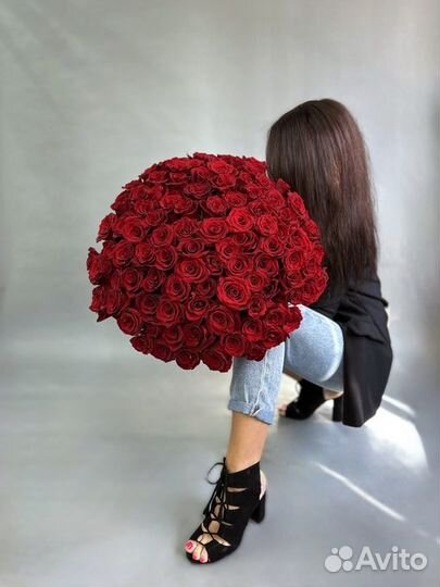 Моно букет из 101 розы Эквадор