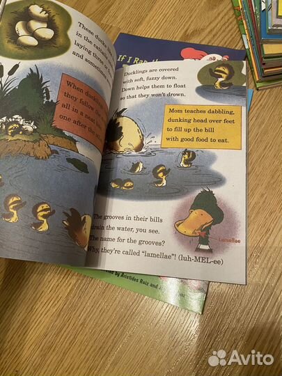 Набор Dr. Seuss 33 книги