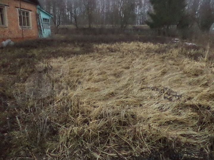 Дом 56 м² на участке 10 сот.