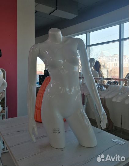 Манекены (торсы)