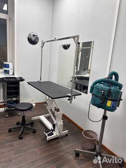 Аренда груминг места Рабочее место грумера кабинет