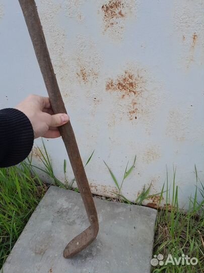 Сапожная лапа