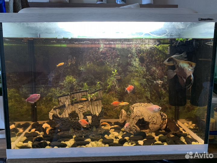 Аквариум 62л