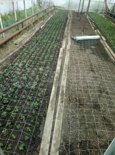 Дача 33 м² на участке 8 сот.