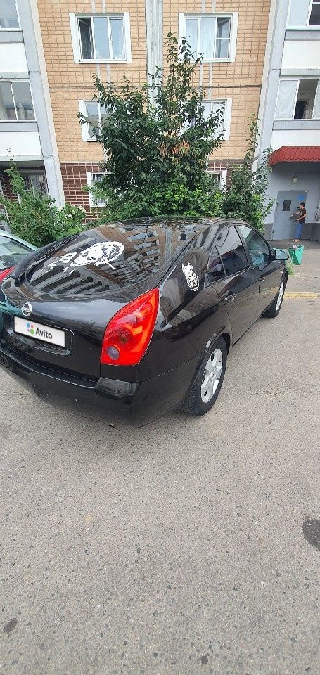 Nissan Primera: фото владельца