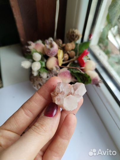 Друзы в асс