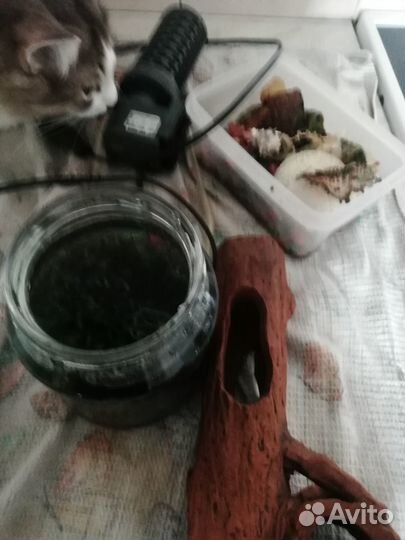 Аквариум 32на30+компрессор, сочек, камушки