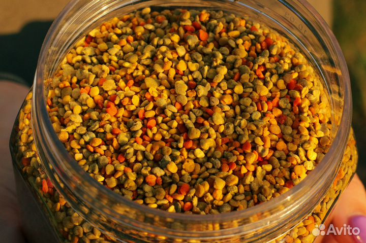 Пыльца пчелиная