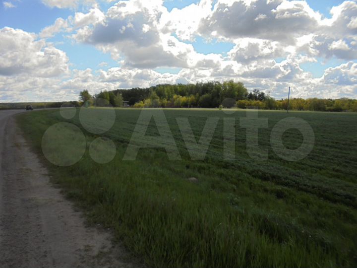 Участок 3,29 га (СНТ, ДНП)